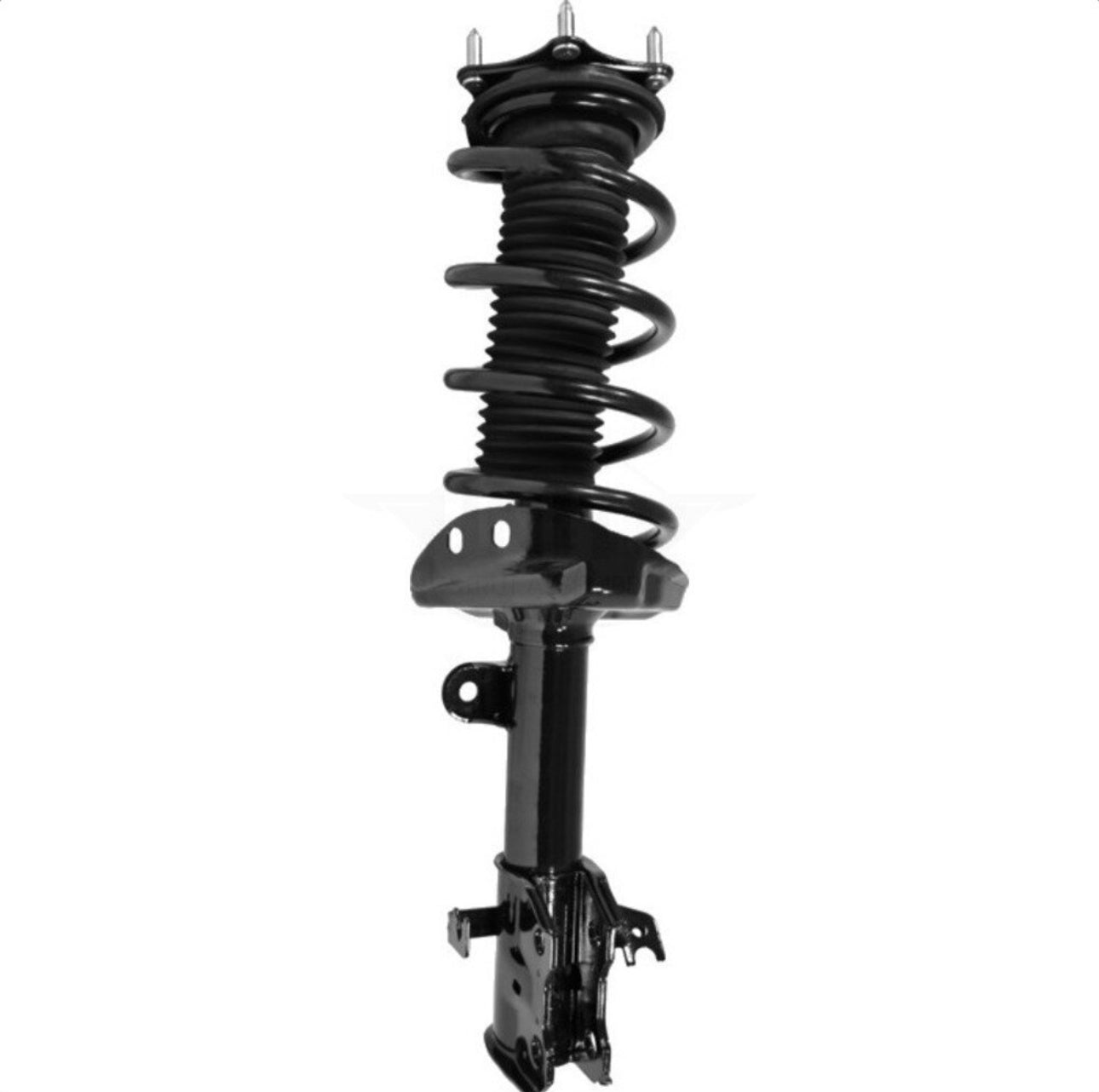 CRV front strut